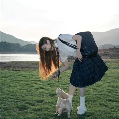 白色驯鹿